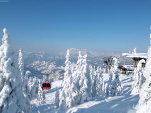 Apartment Alpendorf near Ski Slopes v zime