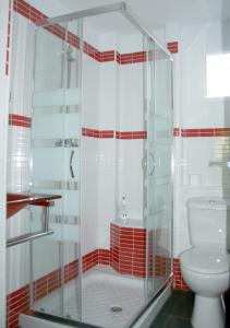 a bathroom with a shower and a toilet at Sevilla a tus pies in Mairena del Aljarafe