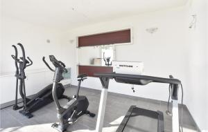 Posilňovňa alebo fitness centrum v ubytovaní Two-Bedroom Apartment In Stanici