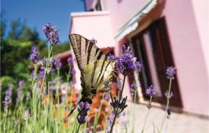 Fotografia z galérie ubytovania Beautiful Home In Veli Losinj With 4 Bedrooms And Wifi vo Veli Lošinj