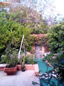 Jardin de l'établissement Castlevue B&B