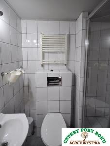 małą łazienkę z toaletą i umywalką w obiekcie Cztery Pory Roku w mieście Jeżów Sudecki
