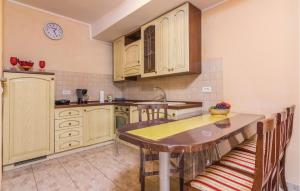Kuchyňa alebo kuchynka v ubytovaní Holiday Home Puzari Vi