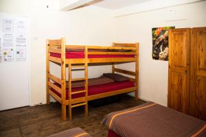Zimmer mit 2 Etagenbetten in einem Zimmer in der Unterkunft Jikeleza Lodge in Port Elizabeth
