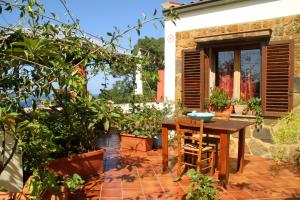 a patio with a wooden table and some plants at Casa Terranova in Ustica