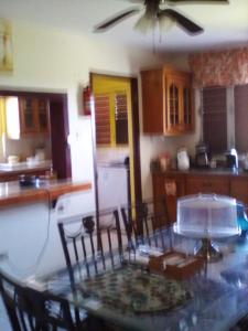 Cuisine ou kitchenette dans l'établissement Castlevue B&B