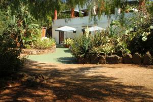a building with an umbrella and some plants at Casa Terranova in Ustica