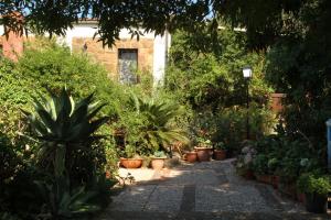 a garden with potted plants and a pathway at Casa Terranova in Ustica +11 photos