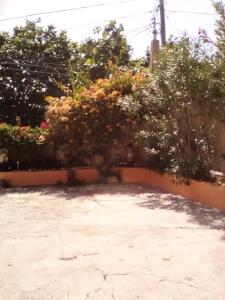 Photo de la galerie de l'établissement Castlevue B&B, à Montego Bay