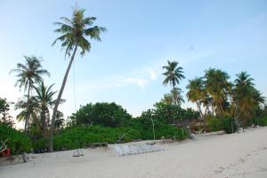 a beach with palm trees and white chairs on it at SUNSET BEACH AT CORNERSTAY Fodhdhoo in Fodhdhoo