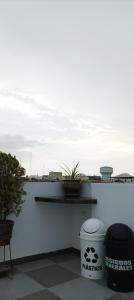 a white wall with a potted plant on it at ica wasi hostel in Ica