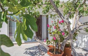 two potted plants sitting in front of a window at Two-Bedroom Apartment In Klek in Klek +17 photos