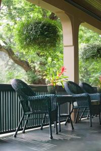 
a patio area with chairs, tables and umbrellas at 1900 Inn on Montford in Asheville
