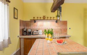 Kuchyňa alebo kuchynka v ubytovaní 3 Bedroom Nice Home In Plovanija