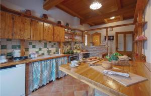 a kitchen with wooden cabinets and a counter top at Gorgeous Home In Ludbreg With Sauna in Ludbreg +51 photos