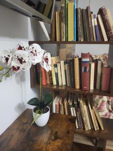 Afbeelding uit fotogalerij van Apartamenty GUSTO Ostróda in Ostróda +74 foto's