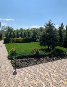 a garden with a tree in the middle of a sidewalk at Приватний будинок з сауною та більярдом in Khashchevoye