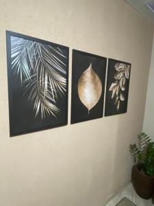 four pictures hanging on a wall with a plant at Cantinho do Cônego in Nova Friburgo