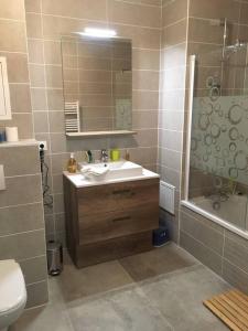 a bathroom with a sink and a mirror and a toilet at Superbe appartement de 62 m2 au pied des pistes in Oz