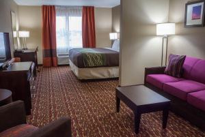 アルテシアにあるComfort Inn & Suites Artesiaのソファとベッド付きのホテルルーム