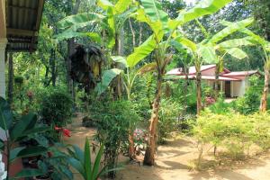 Zahrada ubytování Suba Home Stay