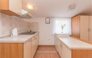 Kuchyň nebo kuchyňský kout v ubytování Cozy Apartment In Sveti Filip I Jakov