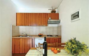 A kitchen or kitchenette at Lovely Apartment In Tar-vabriga With Kitchen