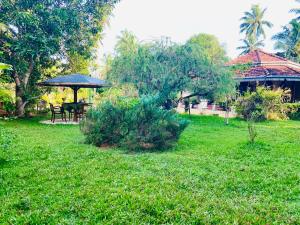 Κήπος έξω από το Gihan villa +40 φωτογραφίες