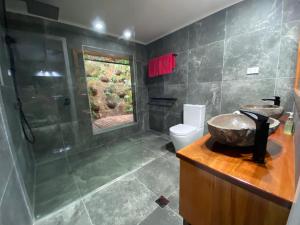 a bathroom with a sink and a shower and a toilet at Daintree Secrets Rainforest Sanctuary in Diwan