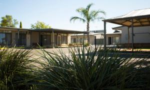 a row of houses with palm trees in the background at Vine Inn Barossa in Nuriootpa