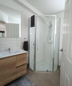 een badkamer met een douche en een wastafel bij Spiritwood, BnB for 2 in a quiet rural setting 