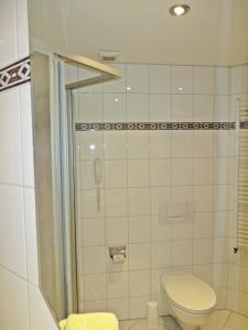 a bathroom with a toilet and a shower at Hotel Roseneck in Hagenow