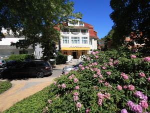 Zahrada ubytování Park-Hotel