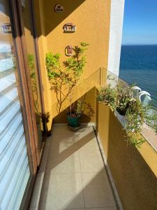 Nespecifikovaný výhled na moře nebo výhled na moře při pohledu z apartmánu