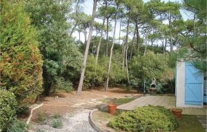 ラ・トランシュ・シュル・メールにあるThree-Bedroom Holiday Home In La Tranche Sur Merの青い小屋と木々のある庭