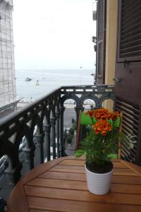ナポリにあるBed and Breakfast Latomareの海の見えるバルコニーに植物を植えたテーブル