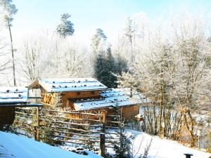TittmoningにあるEco friendly holiday home in Tittmoning with gardenの雪の中の木々の丸太小屋