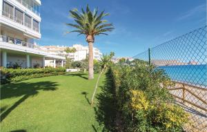a palm tree in a yard next to a fence at Awesome Apartment In Altea With Wifi in Altea