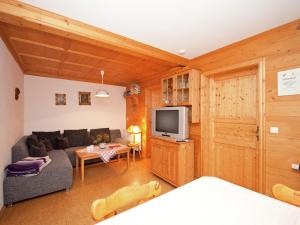 een woonkamer met een bank en een tv bij Spacious apartment near the ski area in Steingaden