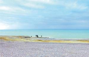 eine Gruppe von Menschen, die auf einem Felsen im Ozean stehen in der Unterkunft Nice Apartment In Mers-Les-Bains in Mers-les-Bains