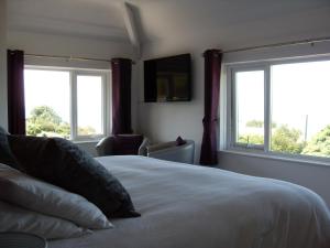 a bedroom with a bed with two windows and a television at Dol Aur - Room Only in Harlech