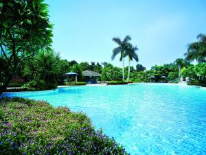 a large swimming pool with blue water and palm trees at Shangri-La Guangzhou in Guangzhou