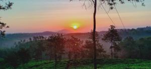 a misty sunrise in the hills with trees at Tea tours Ripon Heritage Bungalow in Meppādi