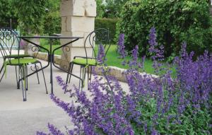 Zahrada ubytování Lovely Home In St Fort Sur Gironde