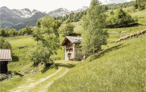 a small house on a hill in a field at Maso Roncal in Peio