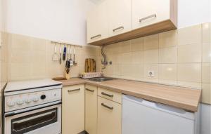 Kuchyň nebo kuchyňský kout v ubytování Cozy Apartment In Barbat-Rab With Wifi