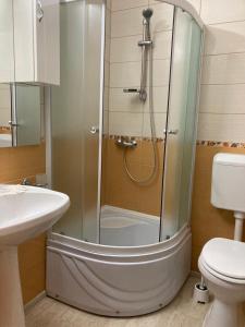 a shower in a bathroom with a sink and a toilet at Casa Ambasadorului in Bran +18 photos