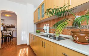uma cozinha com um lavatório e uma planta no balcão em Nice Apartment In Senj With House Sea View em Senj