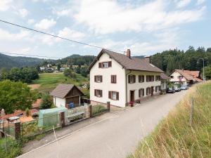 a house on the side of a road at Apartment in Malsburg Marzell with private garden in Marzell