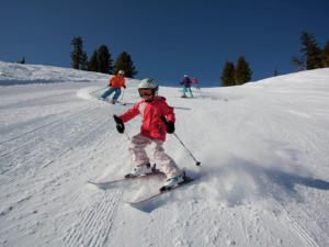 ヴィンターベルクにあるTasteful apartment in Neuastenberg near ski areaの雪に覆われた坂道を滑っている小さな子供